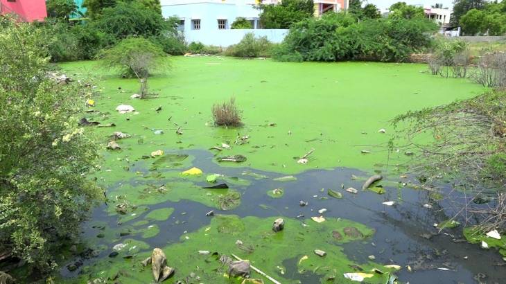 நகராட்சி நிர்வாகம் நடவடிக்கை எடுக்க வலியுறுத்தி காங்கிரஸ் கட்சியினர் போராட்டம்

