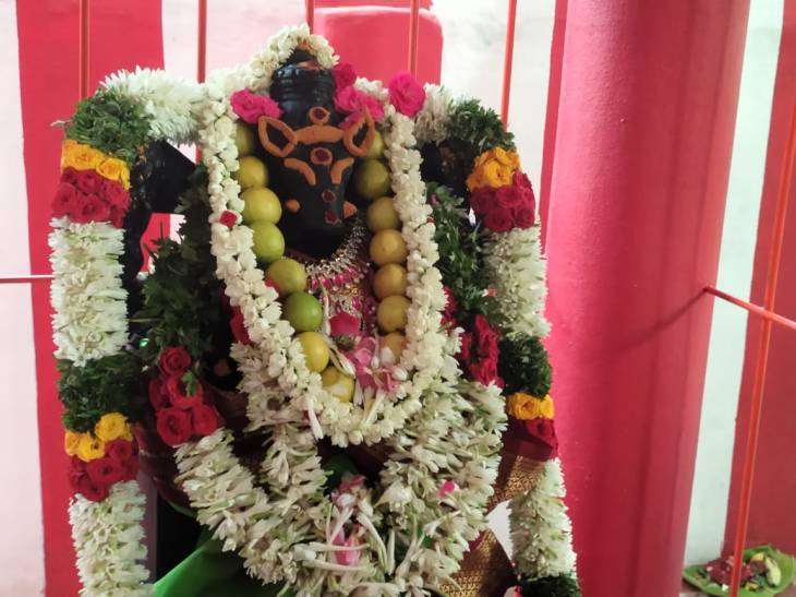 கமுதி  குண்டாறு பாலம் அருகே அமைந்துள்ள ஸ்ரீ சக்தி பாபா ஆலயத்தில்   ஆதிவராஹி அம்மன் ஸ்ரீ நரசிம்மர் நூதன விக்ரஹ பிரதிஷ்டை விழா நடைபெற்றது!