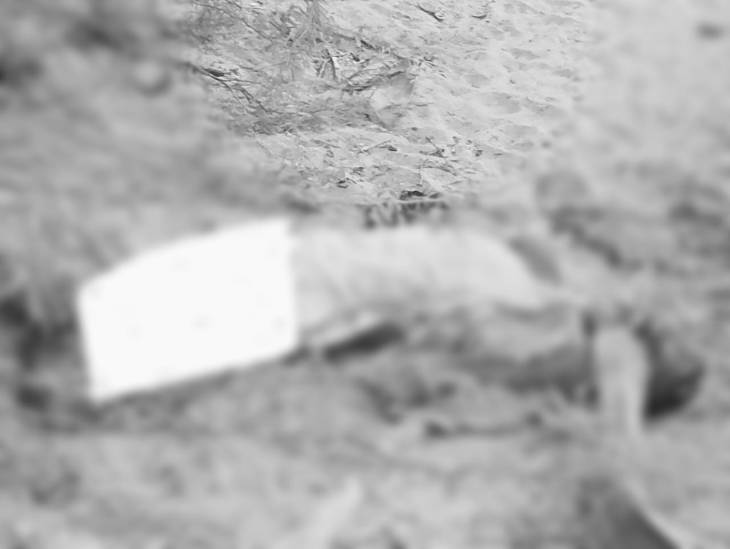 வேம்பார் பச்சையாபுரம் காட்டுப் பகுதியில்  அடையாளம் தெரியாத ஆண் சடலம்?