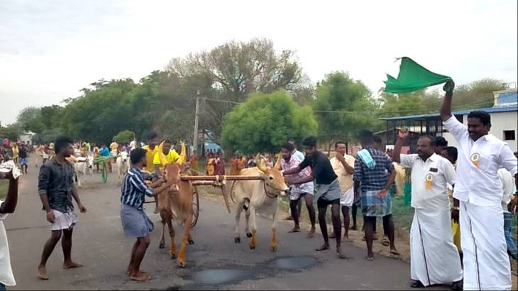கமுதி அருகே  இரட்டை மாட்டு வண்டி பந்தயம்,வெற்றி இலக்கை நோக்கி சீறி பாய்ந்து சென்ற களைகள் !