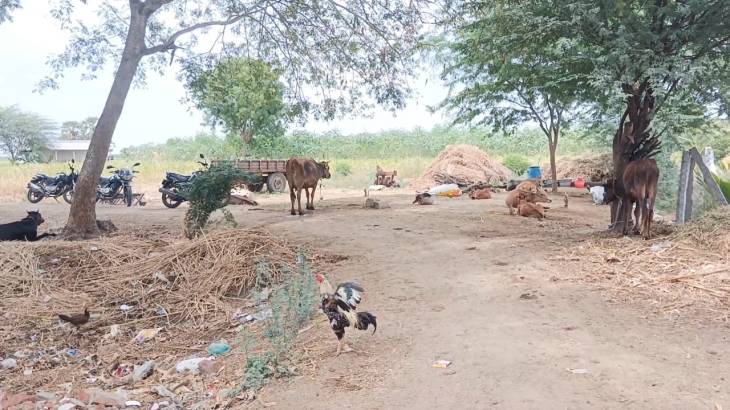 விளாத்திகுளம் அருகே "சிட்டிசன்" திரைப்பட அத்திப்பட்டியைப் போல ஒரு கிராமம் !