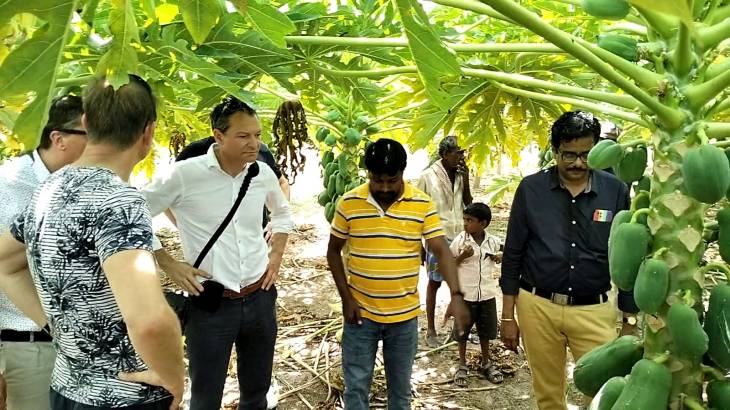 வெளிநாட்டினர் விளாத்திகுளம் பகுதிகளில் ஆய்வு!