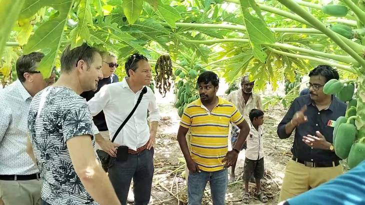 விளாத்திகுளம் அருகே  தோட்டங்களில் வெளிநாட்டினர் ஆய்வு!
