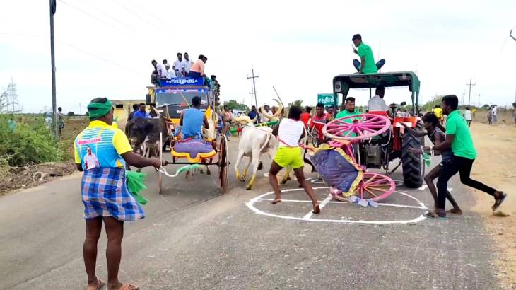 ஓட்டப்பிடாரம் அருகே கோவில் கொடை விழாவை முன்னிட்டு மாட்டுவண்டி எல்கை பந்தயம் - சீறிப்பாய்ந்து சென்ற காளைகள்.