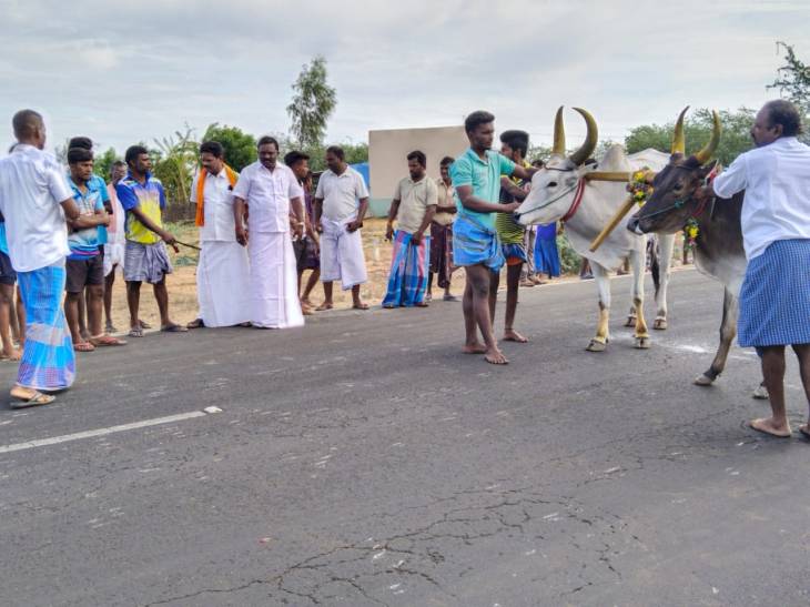 இ.வேலாயுதபுரம் கிராமத்தில்  மாபெரும் மாட்டு வண்டி எல்கை பந்தயம் நடைபெற்றது!
