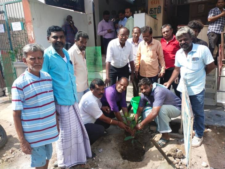 தூத்துக்குடி சிவன் கோவில் தெருவில் மரக்கன்று நடும் பணி!