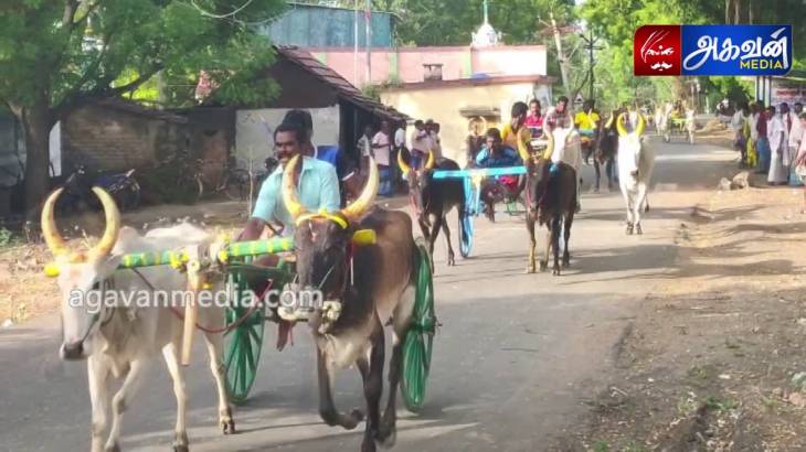 வாழவந்தம்மன் ஆடி பொங்கல் விழாவை முன்னிட்டு-இரட்டை மாட்டு வண்டி பந்தயம்-வெற்றி இலக்கை நோக்கி சீறி பாய்ந்து சென்ற களைகள்!