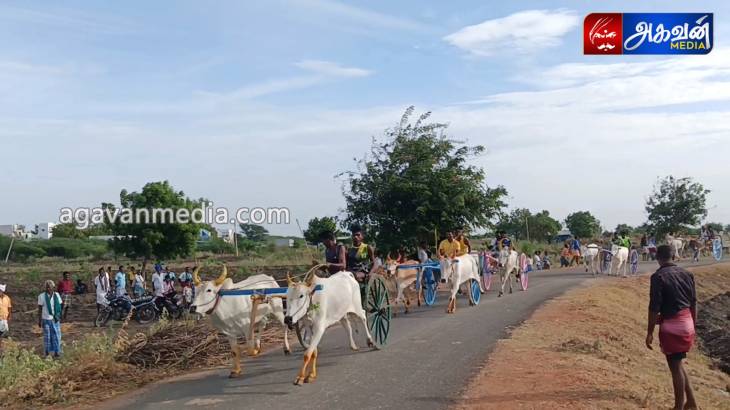 புதுசின்னையாபுரம் கிராமத்தில் மாபெரும் மாட்டு வண்டிகள் பந்தயம்!