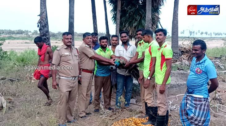தேசிய பறவையை மீட்ட தீயணைப்பு வீரர்கள்!



