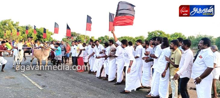 எம்.எல்.ஏ.,காதர்பாட்சாமுத்துராமலிங்கம் இரட்டை மாட்டு வண்டி பந்தயத்தை கொடியசைத்து துவக்கி வைத்தார்.