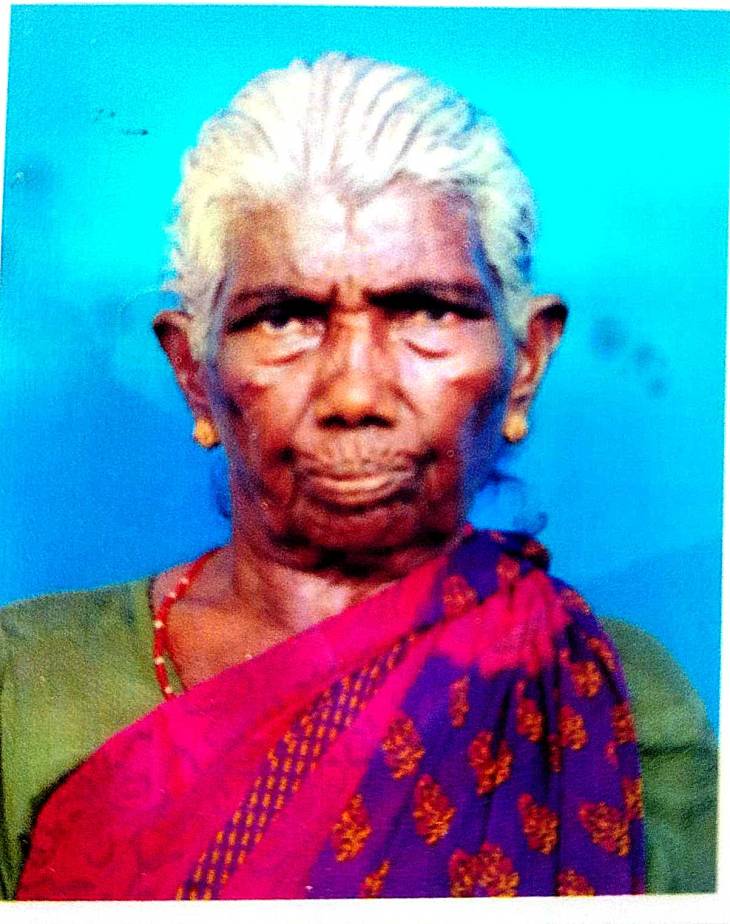 டிராக்டர் மோதி  மூதாட்டி பலி.