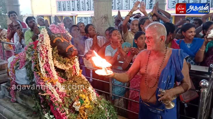 மீனாட்சி சுந்தரேஸ்வரர் ஆலயத்தில்  பிரதோஷ விழா !