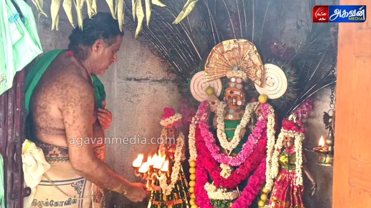 "ஆடி கிருத்திகையை" முன்னிட்டு விளாத்திகுளத்தில், ஸ்ரீ சண்முகருக்கு சிறப்பு அபிஷேகங்கள் மற்றும் ஆராதனைகள்!