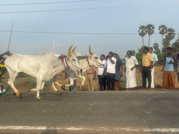 மாட்டு வண்டி பந்தயத்தை மார்க்கண்டேயன் எம்எல்ஏ தொடங்கி வைத்தார்.
