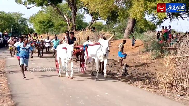 கே.வேப்பங்குளம்  இரட்டை மாட்டு வண்டி பந்தயம்!