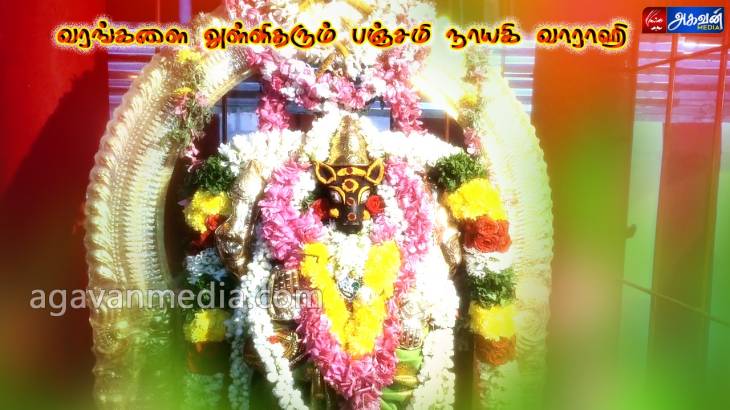 வரங்களை அள்ளித்தரும் பஞ்சமி நாயகிகமுதி கமுதி ஸ்ரீ ஆதி வாராஹி அம்மன்!