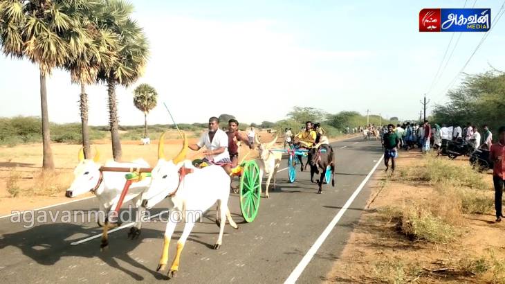 உசிலங்குளம் மாட்டு வண்டி பந்தயம்!