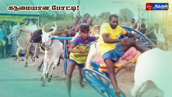 மங்கலம் இரட்டை மாட்டு வண்டி  பந்தயம்! 
