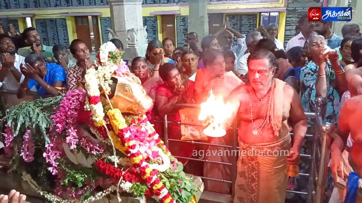 பிரதோஷத்தை முன்னிட்டு நந்தி பகவானுக்கு சிறப்பு அபிஷேகம்!