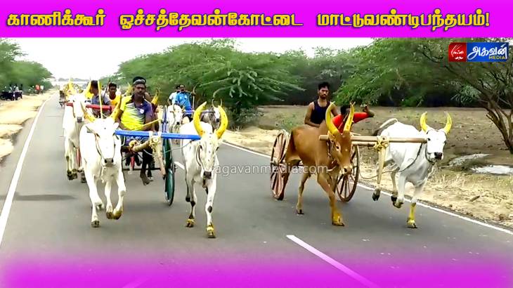 காணிக்கூர் ஒச்சத்தேவன் கோட்டை கிராமத்தில் மாட்டு வண்டி பந்தயம் நடைபெற்றது.