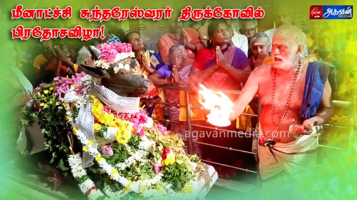 மீனாட்சி சுந்தரேஸ்வரர் ஆலயத்தில் புரட்டாசி தேய்பிறை பிரதோஷ விழா!