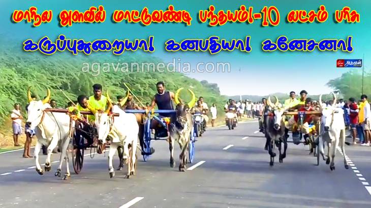 தேவர் ஜெயந்தியை முன்னிட்டு மாநில அளவிலான மாபெரும் மாட்டு வண்டி பந்தயம்!