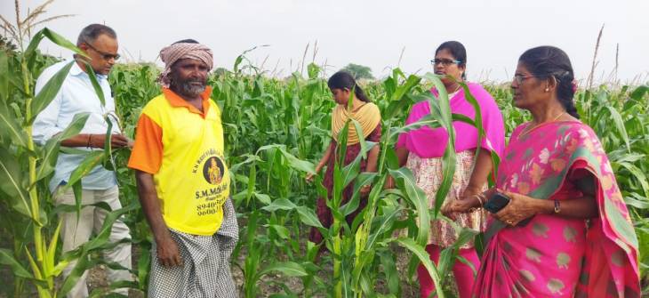 மக்காச்சோள பயிர்களை ஆய்வு செய்த வேளாண்மை உதவி இயக்குனர்!