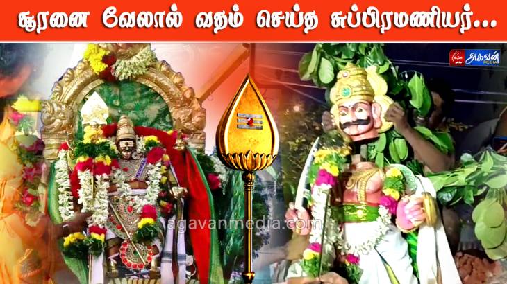 சூரனை வதம் செய்த சுப்பிரமணியர்... விண்ணைப் பிளந்த அரோகரா கோசம்!