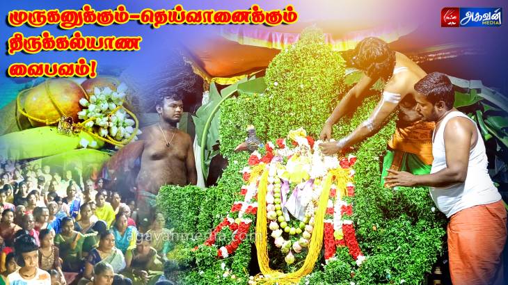 "முருகப்பெருமானின் திருக்கல்யாண வைபவம்!"