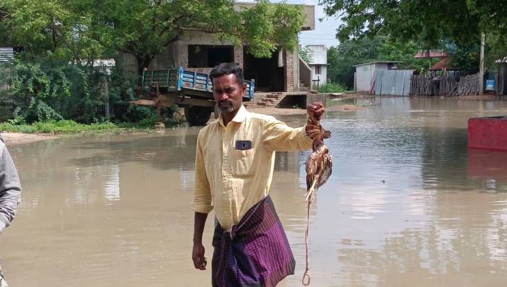 மழைநீருடன் கழிவுநீர் குடியிருப்பு பகுதியை சூழ்ந்ததுகால்நடைகள் உயிரிழந்து துர்நாற்றம்!