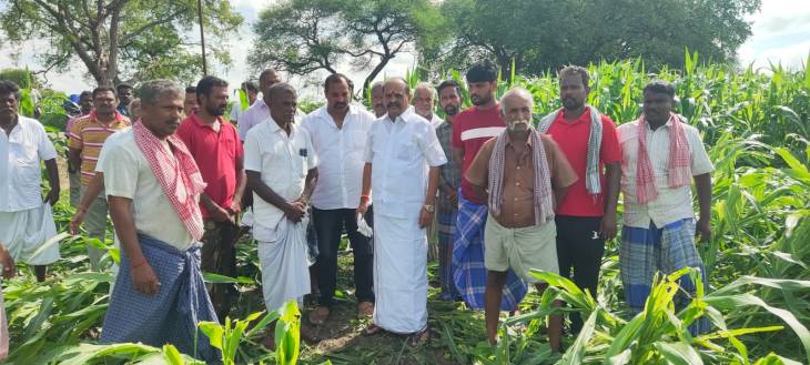 பலத்த மழைக்கு சேதமான பயிர்கள் - முன்னாள் அமைச்சர் கடம்பூர்.செ.ராஜீ ஆய்வு !