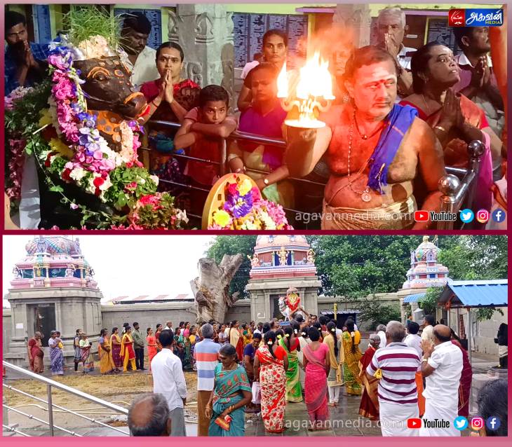  "மார்கழி மாத பிரதோஷ வழிபாடு" : ஏராளமான பக்தர்கள் சிவநாமம் பாடி வழிபாடு!

 