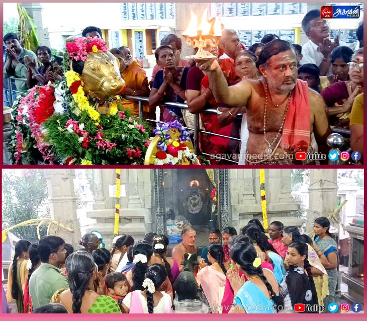 தை மாத பிரதோஷ வழிபாடு : ஏராளமான பக்தர்கள் சிவநாமம் பாடி வழிபாடு!