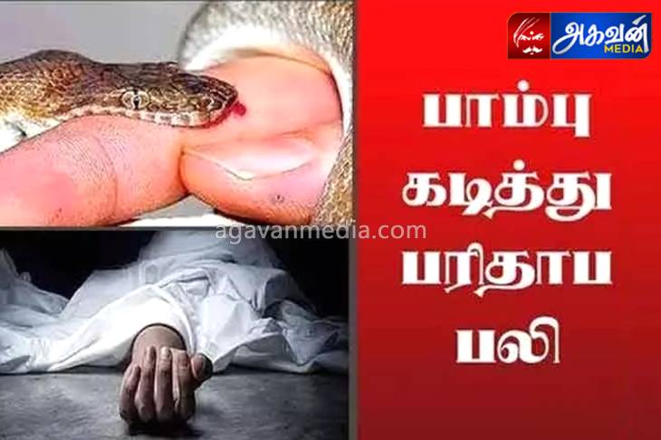  பாம்பு கடித்து பெண் உயிர்யிழப்பு?