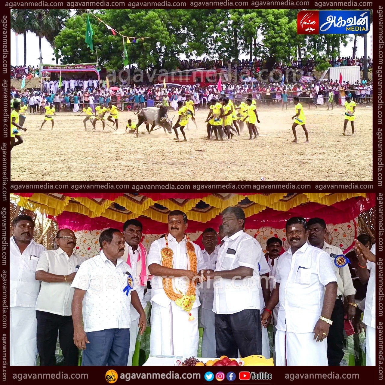 விளாத்திகுளம் அருகே கோவில் கொடை விழாவை முன்னிட்டு  நடைபெற்ற மாபெரும் எருது கட்டு விடும் விழா!